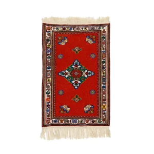 Sun set orange kilim with medallion and white border